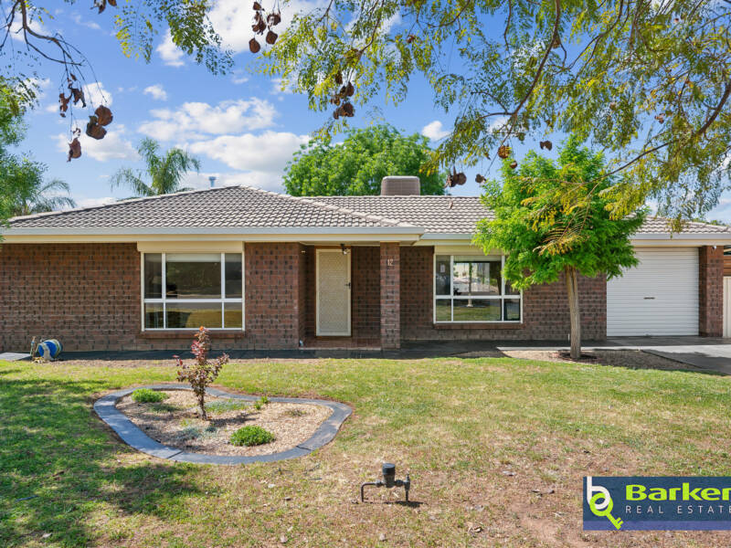 12 Kareda Street, WILLASTON, SA 5118 AUS