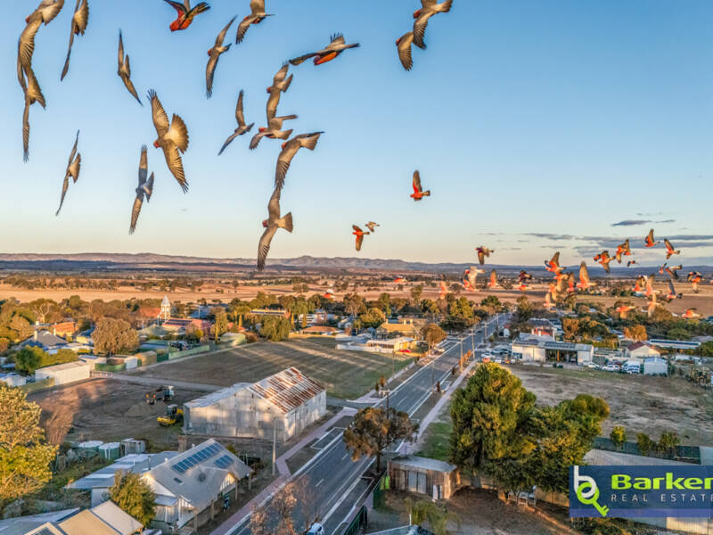 11 Gray Street, FREELING, SA 5372 AUS