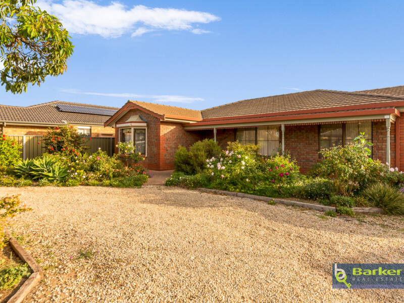 31 Panter Street, WILLASTON, SA 5118