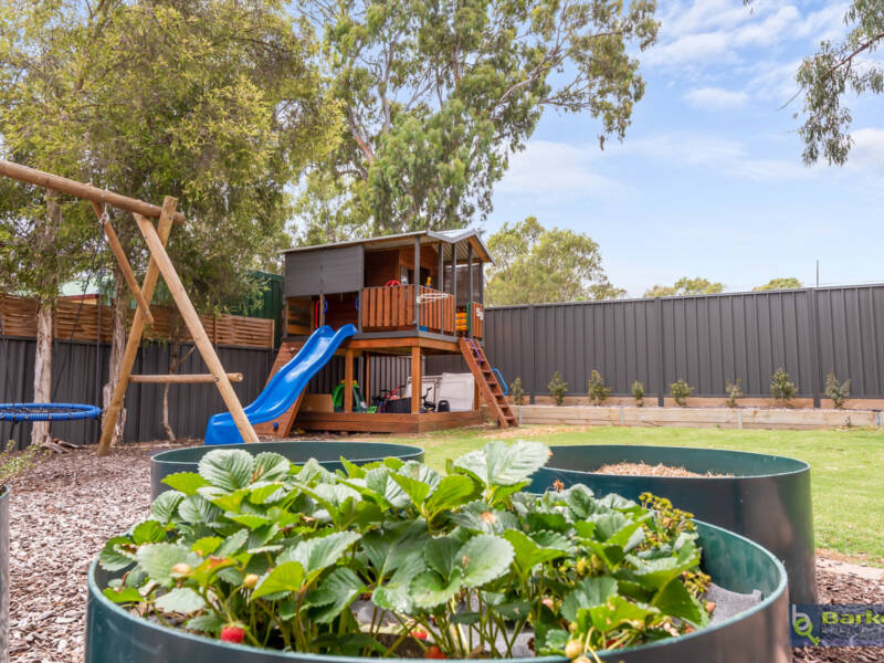 59 Rushall Road, LYNDOCH, SA 5351 AUS