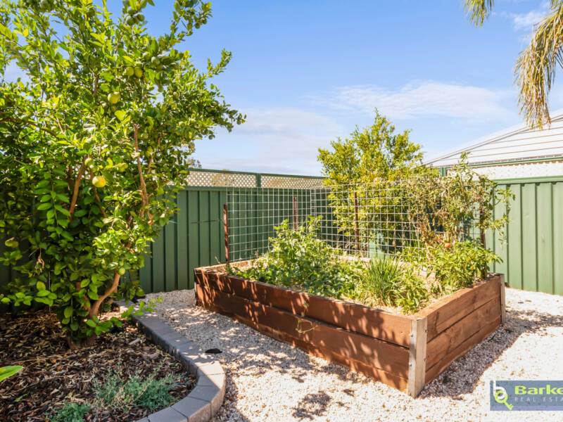 27 Window Road, WILLASTON, SA 5118 AUS