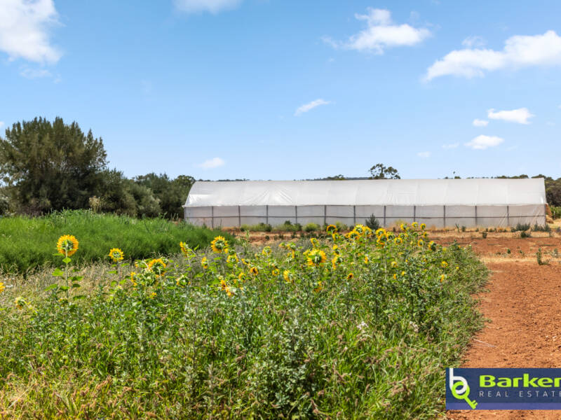 121 Milne Road, KUDLA, SA 5115 AUS