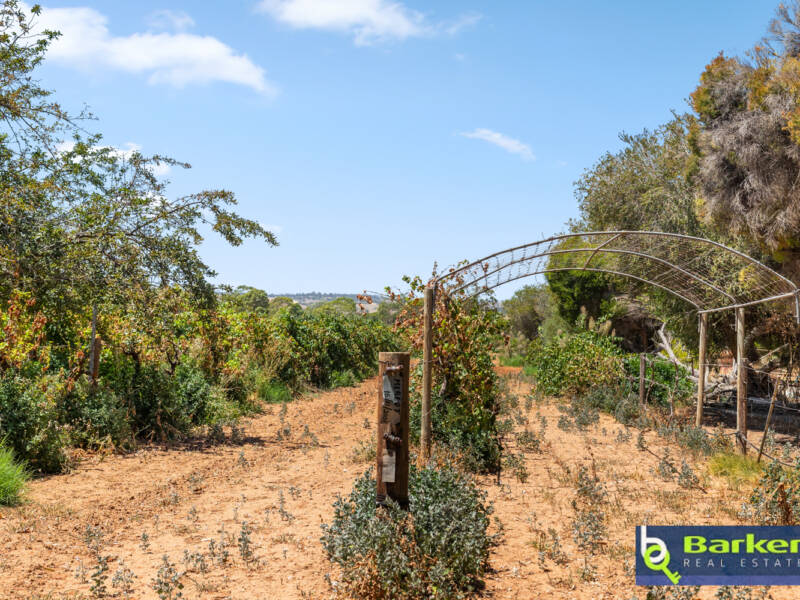 121 Milne Road, KUDLA, SA 5115 AUS