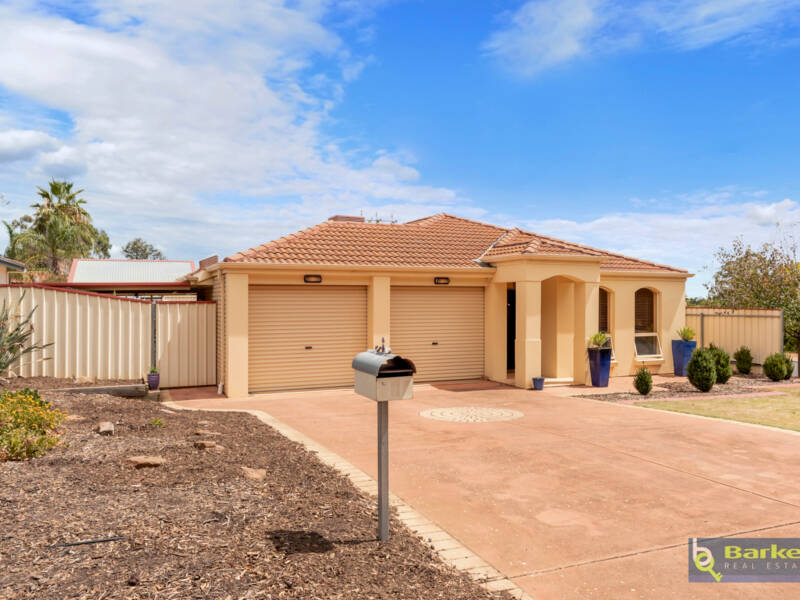 20 Sunnyside Drive, EVANSTON PARK, SA 5116 AUS