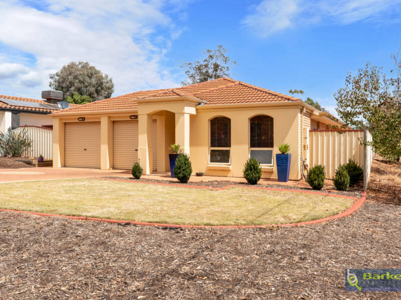 20 Sunnyside Drive, EVANSTON PARK, SA 5116 AUS