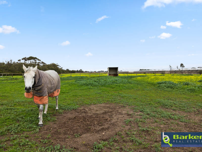 10 Gawler River Road, LEWISTON, SA 5501 AUS