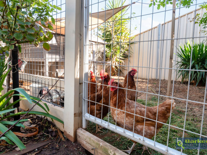 33 Thompson Circuit, EVANSTON PARK, SA 5116 AUS