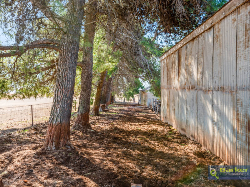 81 William Hawke Road, CONCORDIA, SA 5118 AUS