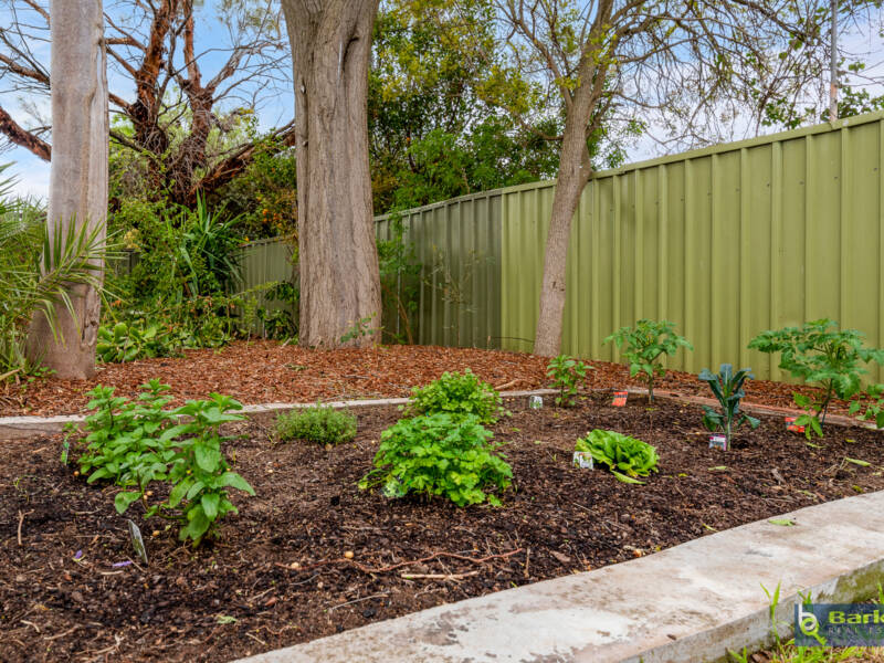 37 Dieckmann Drive, GAWLER EAST, SA 5118 AUS