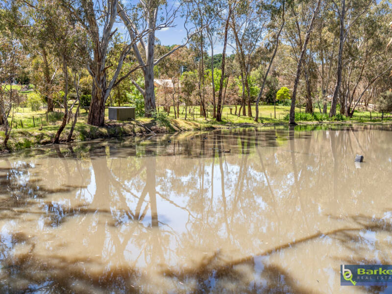 58 Yettie Road, WILLIAMSTOWN, SA 5351 AUS