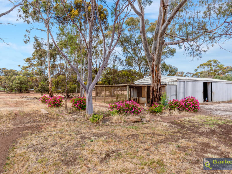 16 Peppermint Drive, GAWLER BELT, SA 5118 AUS