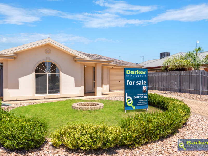 19 Gemini Drive, MUNNO PARA WEST, SA 5115 AUS