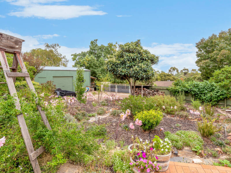 10 King Street, LYNDOCH, SA 5351 AUS