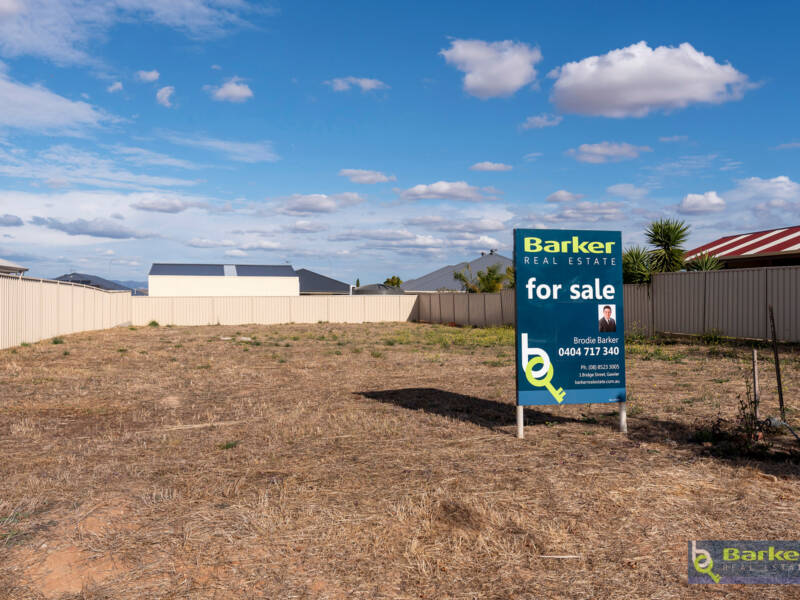 20 Roche Street, FREELING, SA 5372 AUS