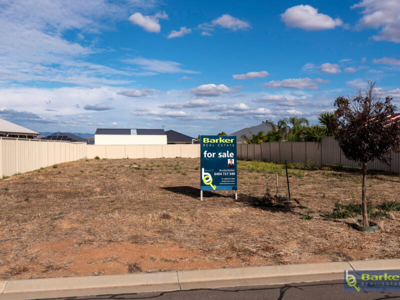 20 Roche Street, FREELING, SA 5372 AUS