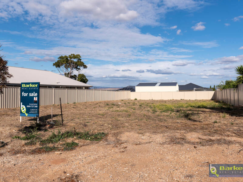 20 Roche Street, FREELING, SA 5372 AUS