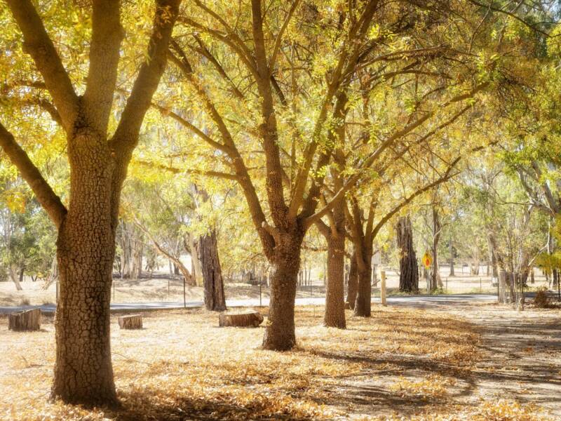 12 Cockatoo Lane, SANDY CREEK, SA 5350 AUS