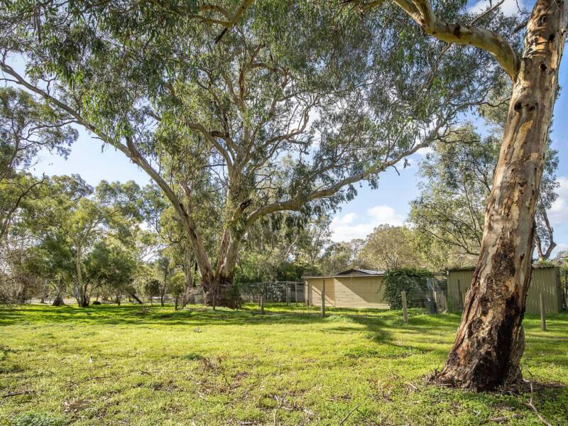 12 Cockatoo Lane, SANDY CREEK, SA 5350 AUS