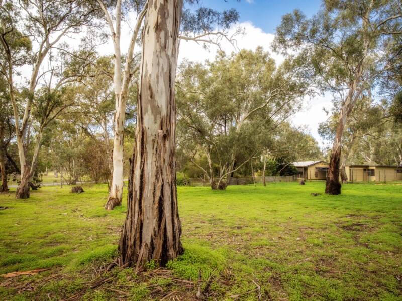 12 Cockatoo Lane, SANDY CREEK, SA 5350 AUS