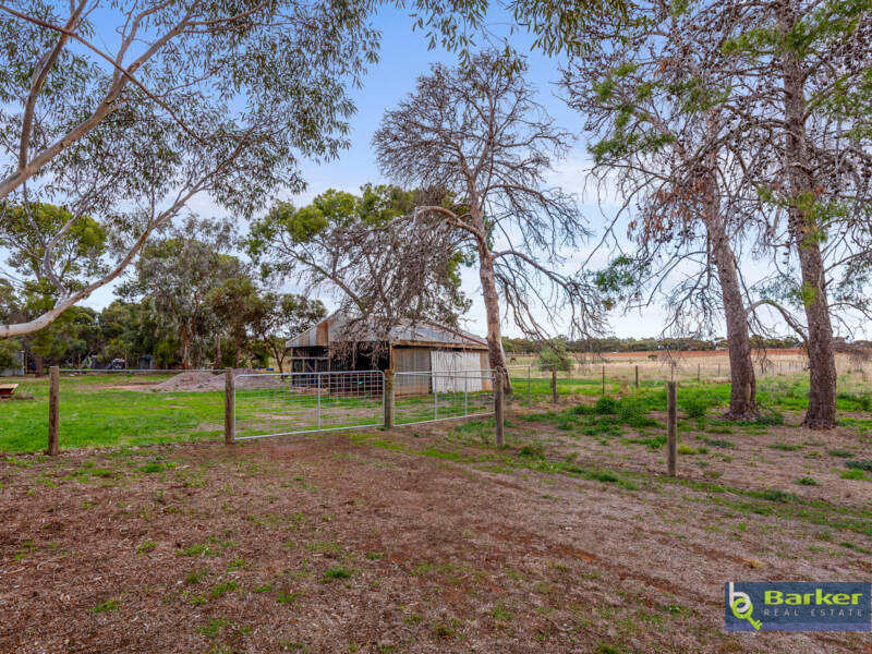 170 Boundary Road, FISCHER, SA 5502 AUS
