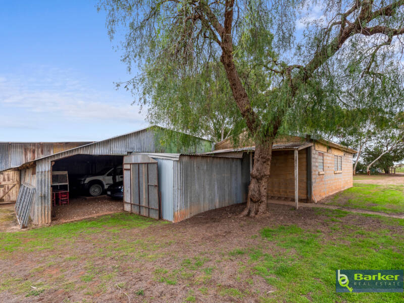 170 Boundary Road, FISCHER, SA 5502 AUS