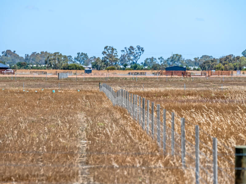 3 Gazzola Court (Allotment 25), LEWISTON, SA 5501 AUS