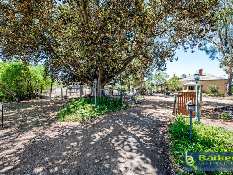 142 Pearson Road, HILLIER, SA 5116 AUS