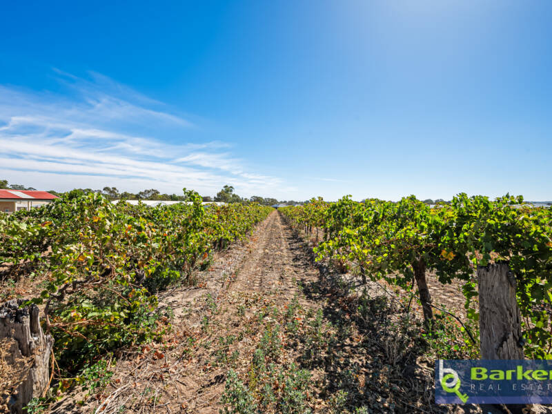 15B Walden Street, TANUNDA, SA 5352 AUS