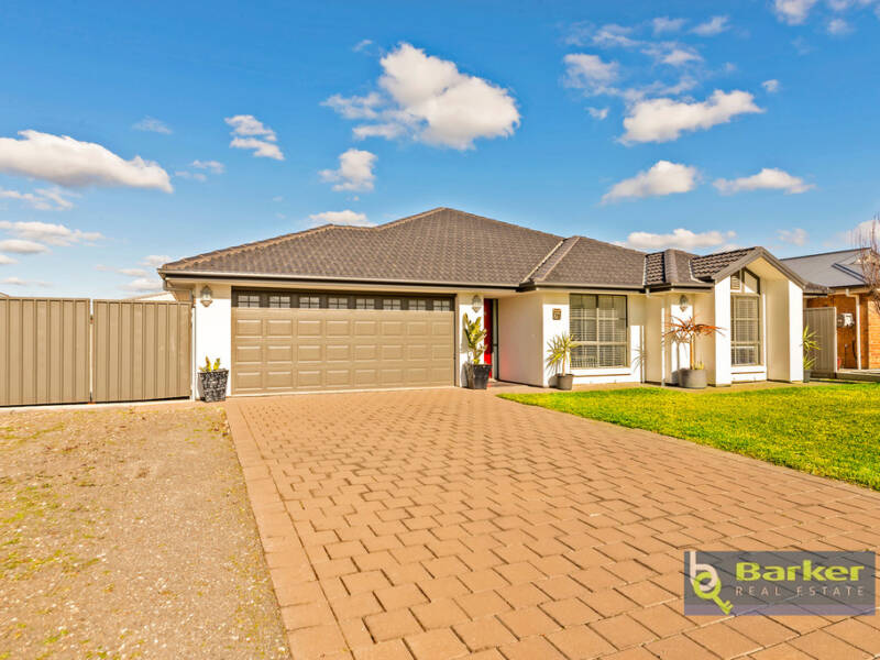 78 Borrow Street, FREELING, SA 5372