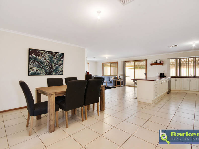 17 Meaney Drive, FREELING, SA 5372