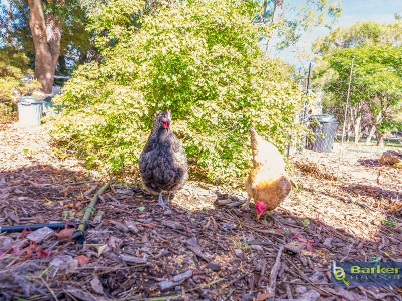 947 One Tree Hill Road, ONE TREE HILL, SA 5114 AUS
